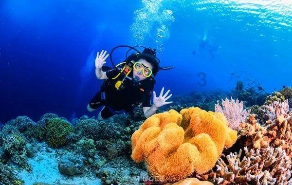 抄底资金在行动!沪深300ETF份额暴增365亿 投资者该如何选择?